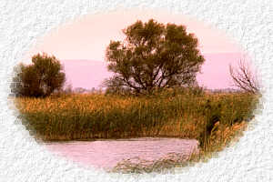 delta3.jpg (10965 bytes)