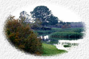 delta4.jpg (11488 bytes)