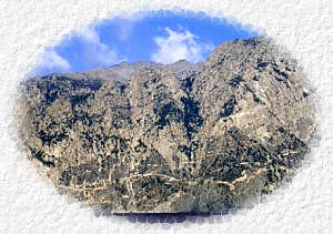 sam1.jpg (15817 bytes)