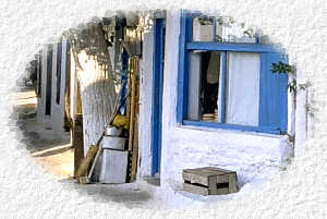 sam2.jpg (12619 bytes)