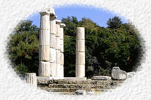 sam4.jpg (13118 bytes)