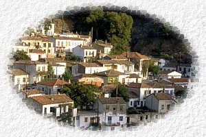 sam7.jpg (14354 bytes)